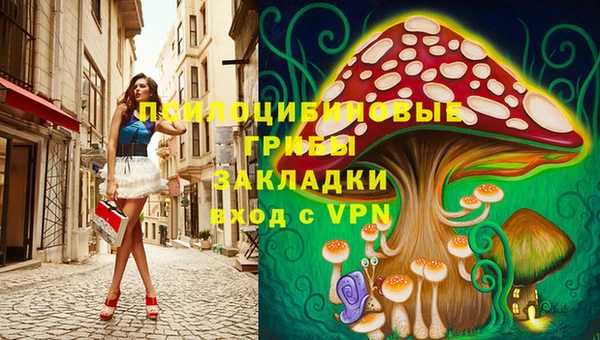 трава Абинск