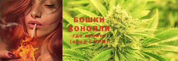 твердый Абаза