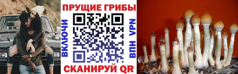 мега зеркало  Яранск  Галлюциногенные грибы ЛСД 